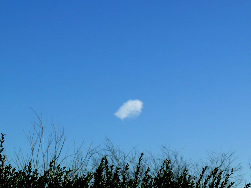 Odd cloud at about 50-100 ft with silting white powder hanging over us for a long time.